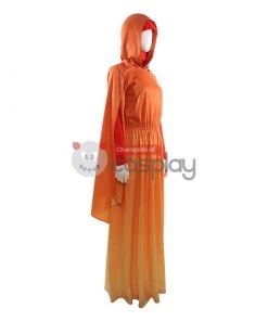 Padme Amidala Costume Star Wars Queen Amidala Costume Cosplay 34 Padme Amidala Costume Star Wars Queen Amidala Costume Cosplay -Cosplay Sales Store 15 800x800 26