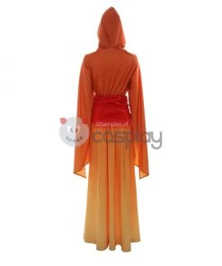 Padme Amidala Costume Star Wars Queen Amidala Costume Cosplay 21 Padme Amidala Costume Star Wars Queen Amidala Costume Cosplay -Cosplay Sales Store 2 800x800 143
