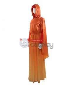 Padme Amidala Costume Star Wars Queen Amidala Costume Cosplay 22 Padme Amidala Costume Star Wars Queen Amidala Costume Cosplay -Cosplay Sales Store 3 800x800 146