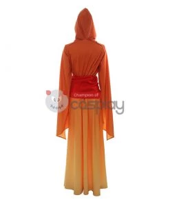 Padme Amidala Costume Star Wars Queen Amidala Costume Cosplay 24 Padme Amidala Costume Star Wars Queen Amidala Costume Cosplay -Cosplay Sales Store 5 800x800 142